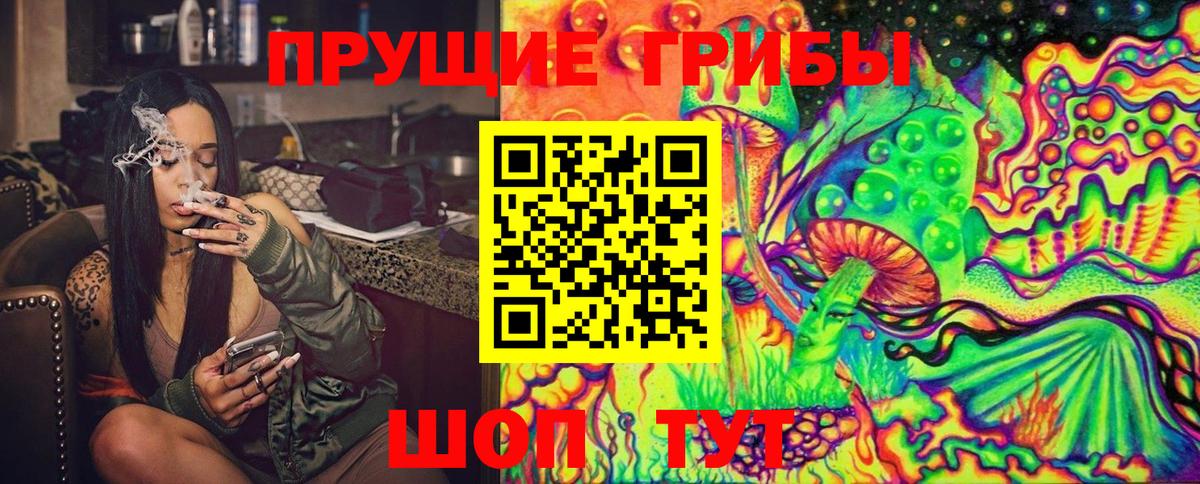 Галлюциногенные грибы GOLDEN TEACHER  Вход с VPN  Новоалександровск 