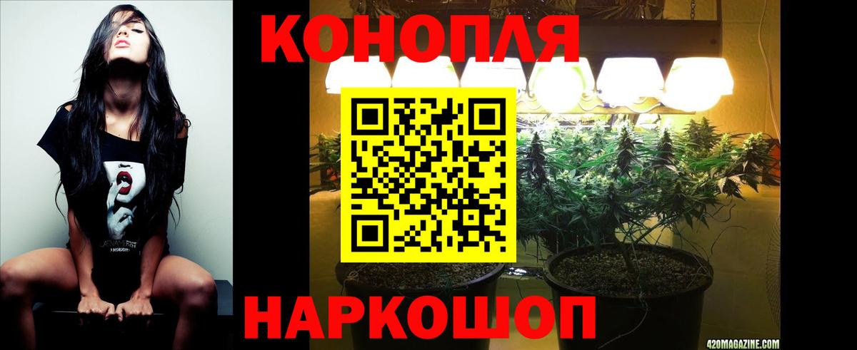 Шишки марихуана семена  Конопля тримм  Новоалександровск  МАРИХУАНА White Widow  Шишки марихуана Ganja  Вход с VPN 